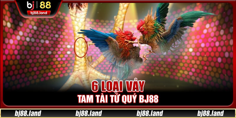 6 loại vảy Tam Tài Tứ Quý BJ88