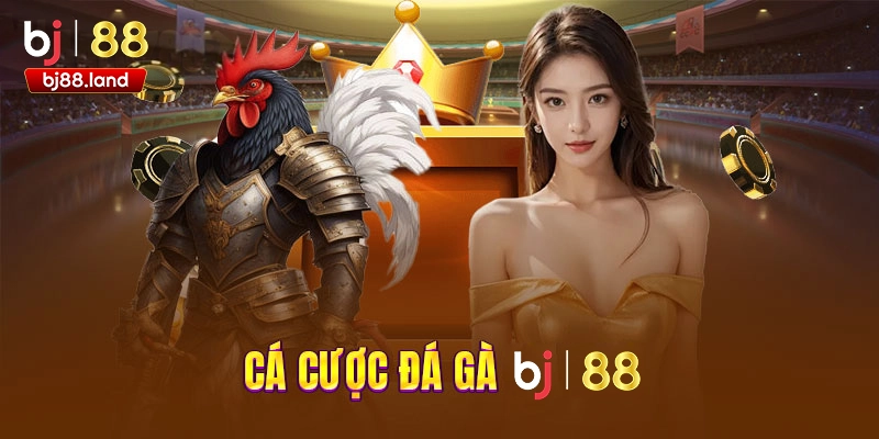 Đá gà BJ88