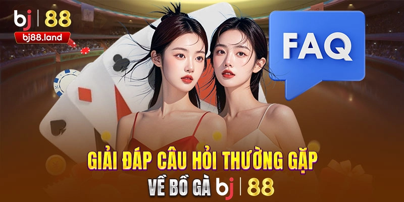 FAQ - Câu hỏi thường gặp về BJ88