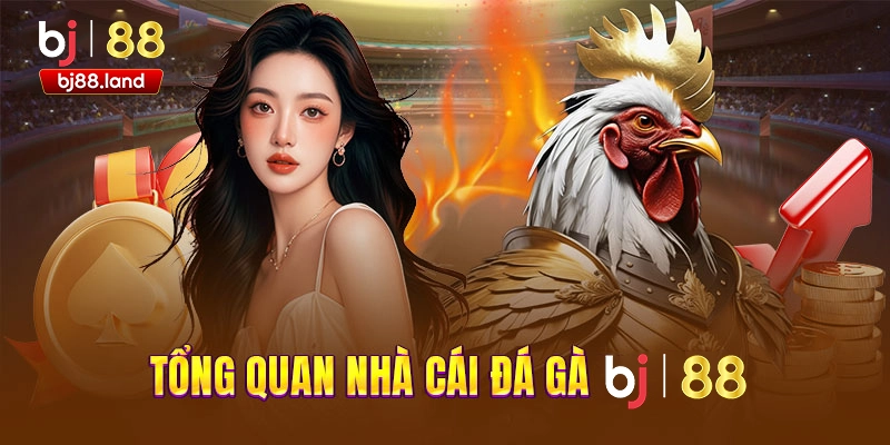 Giới thiệu nhà cái BJ88