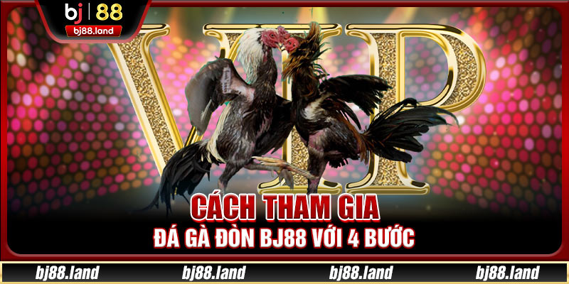 Cách tham gia đá gà đòn BJ88 với 4 bước