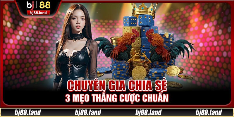Chuyên gia chia sẻ 3 mẹo thắng cược chuẩn