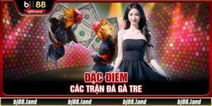 Đá Gà Tre - Tận Hưởng Các Trận Đấu Sôi Động Tại BJ88