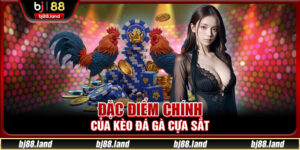 Kèo Đá Gà Cựa Sắt Cực Đỉnh Tại Nhà Cái BJ88 Uy Tín