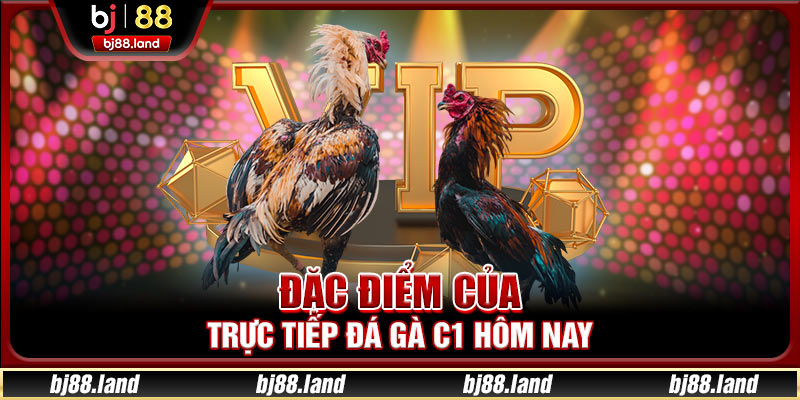 Trực Tiếp Đá Gà C1 Hôm Nay BJ88 - Cơ Hội Dành Chiến Thắng