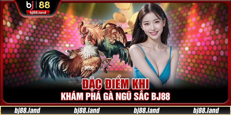 Khám Phá Gà Ngũ Sắc BJ88 - Bí Quyết Chọn Gà Đá Đỉnh Cao