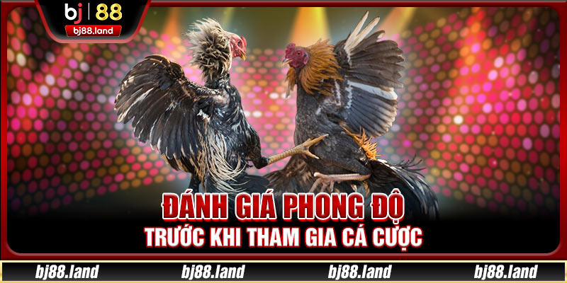 Đánh giá phong độ trước khi tham gia cá cược