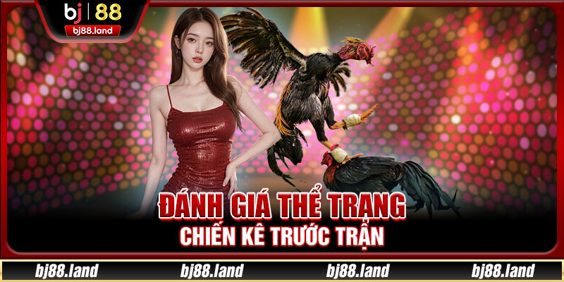 Đánh giá thể trạng chiến kê trước trận