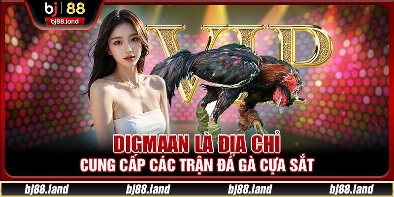 Digmaan là địa chỉ cung cấp các trận đá gà cựa sắt