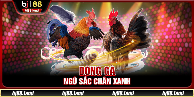 Dòng gà ngũ sắc chân xanh