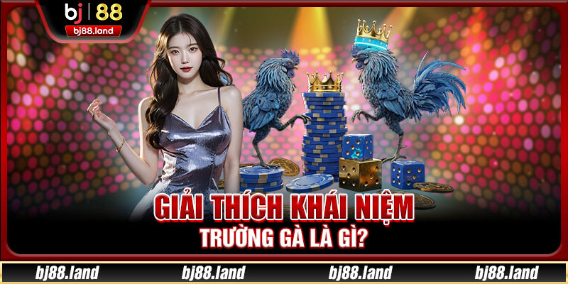 Trường Gà Là Gì? Tìm Hiểu Khái Niệm, Các Loại Hình Đá Gà