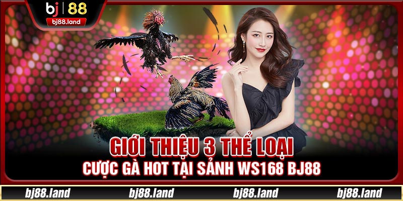 Giới thiệu 3 thể loại cược gà hot tại sảnh WS168 BJ88