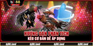 Hướng dẫn phân tích kèo cơ bản dễ áp dụng