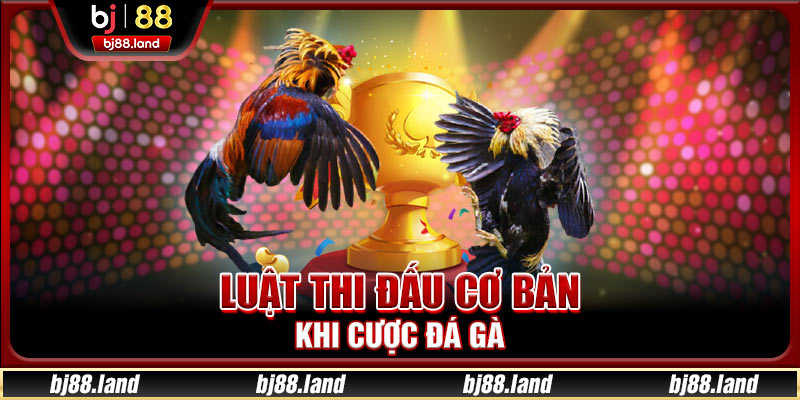 Luật thi đấu cơ bản khi cược đá gà