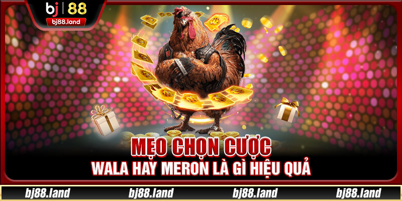 Mẹo chọn cược Wala hay Meron là gì hiệu quả