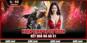 Nhận định và dự đoán kết quả đá gà C1