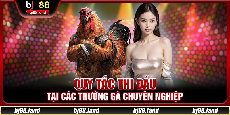 Quy tắc thi đấu tại các trường gà chuyên nghiệp