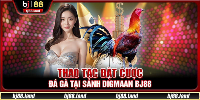 Thao tác đặt cược đá gà tại sảnh Digmaan BJ88
