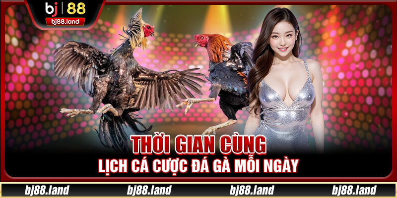 Thời gian cùng lịch cá cược đá gà mỗi ngày