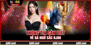 Gà Ngũ Sắc Bj88 - Cách Nhận Biết Chiến Kê Chuẩn Xác