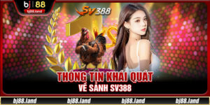 Sảnh SV388 - Địa Điểm Chơi Đá Gà HOT Nhất Thị Trường