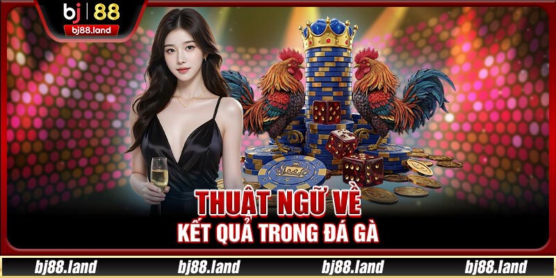 Thuật ngữ về kết quả trong đá gà