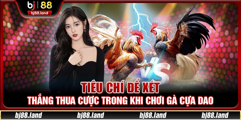 Tiêu chí để xét thắng thua cược trong khi chơi gà cựa dao