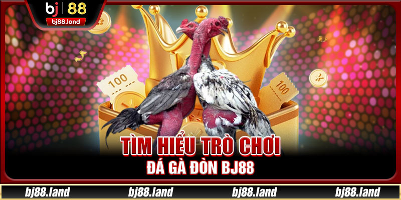 Đá Gà Đòn BJ88: Hình Thức Cá Cược Đẳng Cấp Nhất 2025