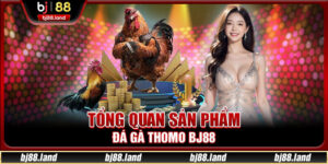 Đá Gà Thomo BJ88 - Sảnh Cược Đỉnh Cao Với Tỷ Lệ Thắng Lớn