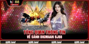 Sảnh Digmaan BJ88 - Nơi Thưởng Thức Màn Tranh Tài Kịch Tính