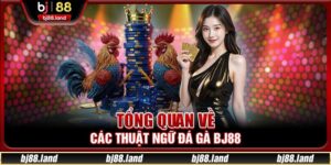 Thuật Ngữ Đá Gà BJ88 Giúp Cá Cược Đá Gà Chuẩn Xác Nhất