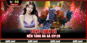 Đá Gà SV128 - Tips Thắng Cược Chuẩn Tại BJ88 Cần Biết