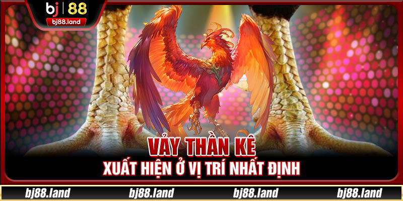 Vảy thần kê xuất hiện ở vị trí nhất định